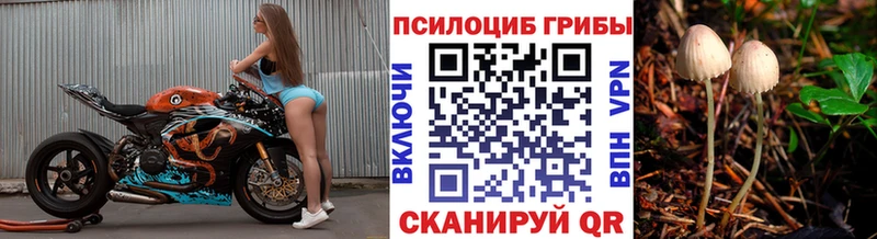 Псилоцибиновые грибы прущие грибы  это какой сайт  Задонск 